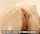 brazzers