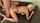 What's the name of this porn actor?