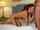 casting
