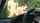 car teen