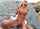 beach public bangbros