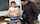 teacher teamskeet