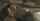 What's the name of this porn actor?
