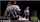 jav r18