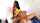 big tits bangbros latina