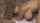 What's the name of this porn actor?