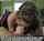 schoolgirl school pov