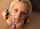 What's the name of this porn actor?
