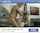 rocco siffredi