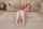 masturbation