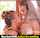 twistys