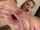 black anal