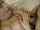 name that porn star