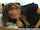 blowjob milf