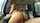 name of she and video