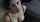 What's the name of this porn actor?