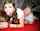 teen teenfidelity