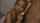 What's the name of this porn actor?