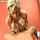blond hardcore blonde