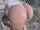 public anal