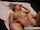 What's the name of this porn actor?