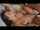 What's the name of this porn actor?