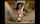 What's the name of this porn actor?