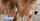 What's the name of this porn actor?