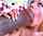 interracial mature