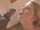 facial