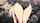 hentai anime