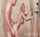 pornstar tiny shower