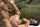 What's the name of this porn actor?
