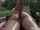 solo anal dildo