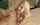 tiny