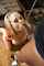 What's the name of this porn actor?