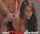 What's the name of this porn actor?