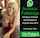 blonde creampie casting