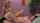 What's the name of this porn actor?