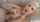 blond cumshot facial