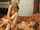 Who is the second pornstar in the video?