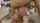 teen rocco siffredi roccosiffredi