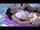 Where can I find this video?