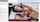 teamskeet