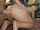 What's the name of this porn actor?
