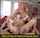 wife tiny brazzers