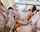 desi bffs teamskeet