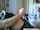 couple blowjob brunette