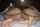 What's the name of this porn actor?