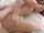 teamskeet